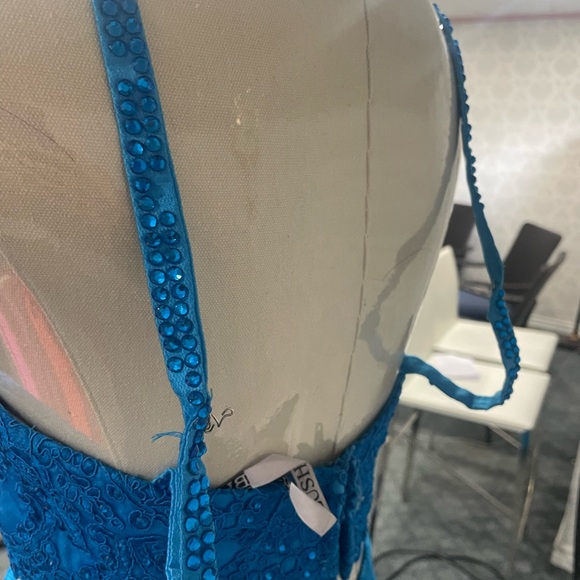 Blush 11224 Embroidered Lace 2pc Prom Dress - Picture 9 of 12